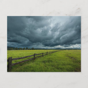 Field with a Wooden Fence Postcard