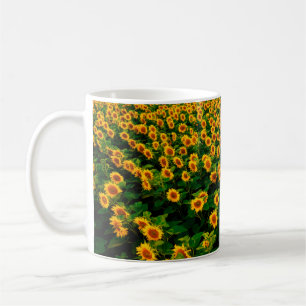 Field with bright yellow sunflowers in sunny day. coffee mug