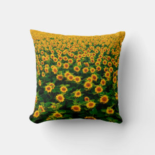 Field with bright yellow sunflowers in sunny day. cushion