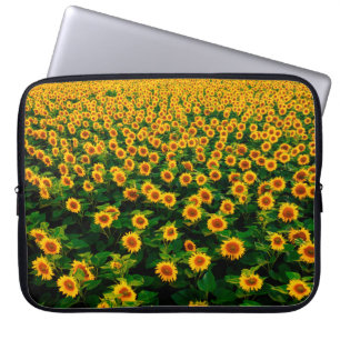Field with bright yellow sunflowers in sunny day. laptop sleeve