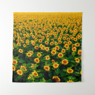 Field with bright yellow sunflowers in sunny day.  tapestry