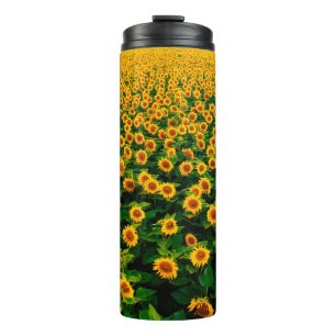Field with bright yellow sunflowers in sunny day. thermal tumbler