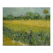 Field with flowers near Arles Poster