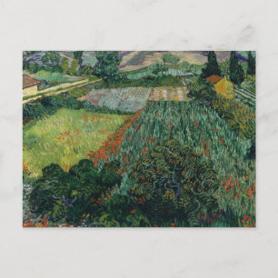 Field with Poppies Vincent van Gogh Postcard