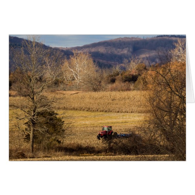 Field Work (Front Horizontal)