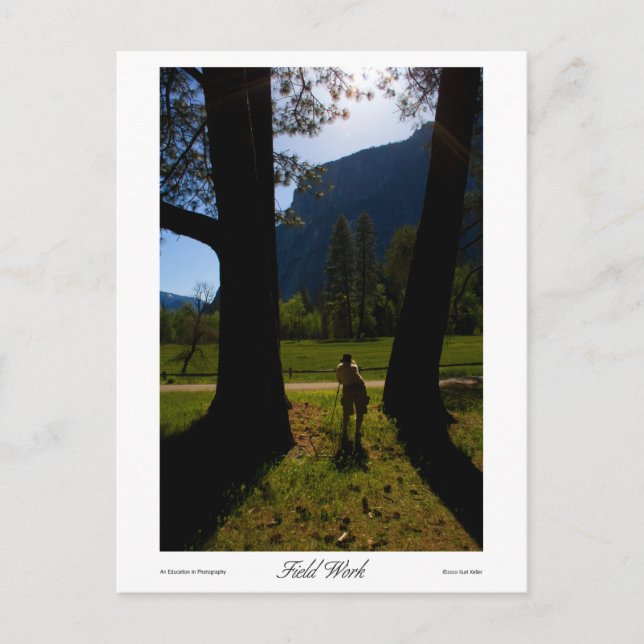 Field Work Prints Postcard (Front)