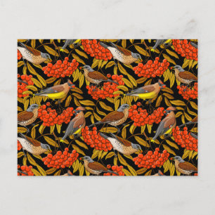 Fieldfares and waxwings on rowan bunches postcard