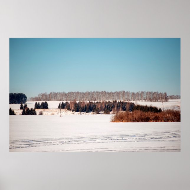 Fields and forests of central Russia. architecture Poster (Front)