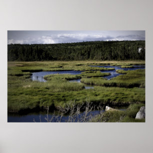 Fields and Streams fine art print