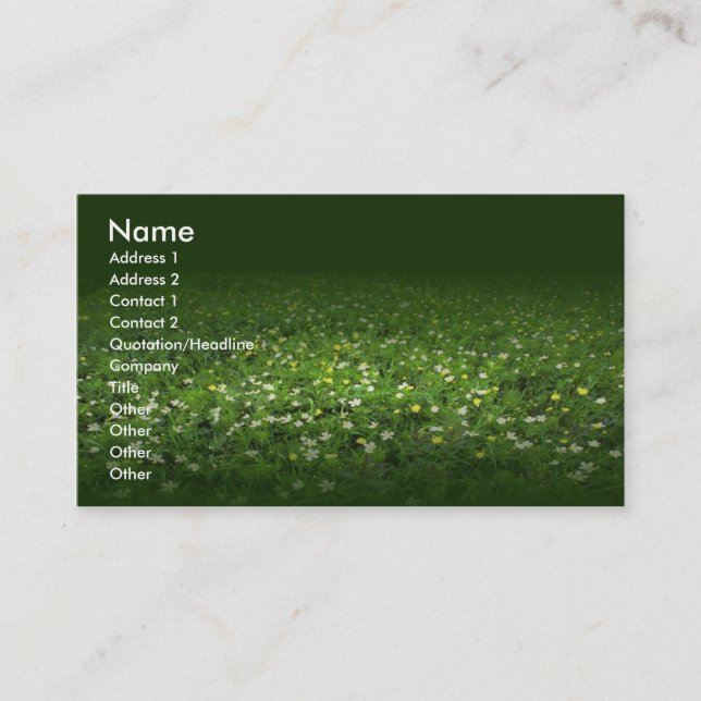 Fields Business Card (Front)