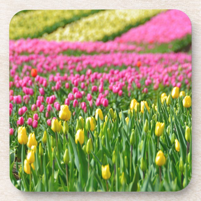 Fields of Colours Coaster (Front)