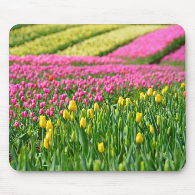 Fields of Colours Mouse Pad (Front)
