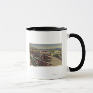 Fields of Desert Sunshine & Wild Verbenas Mug
