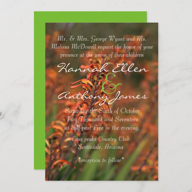 Fields of  glowing orange Agave invite (Front/Back)