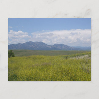 Fields of Green and Gold Postcard