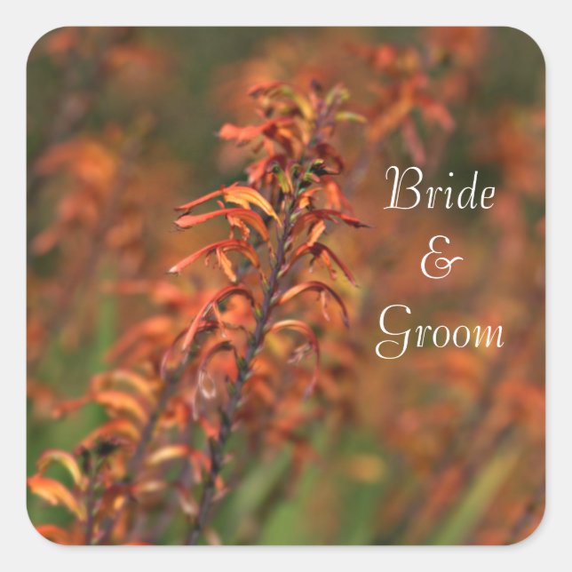 Fields of Orange Agave Bride and Groom Square Sticker (Front)
