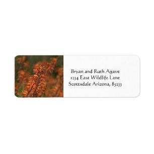 Fields of Orange Agave Return Address Label