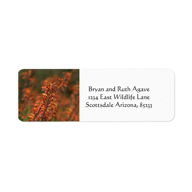 Fields of Orange Agave Return Address Label (Front)