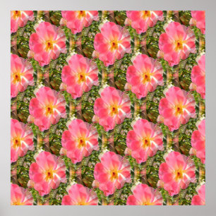 Fields of Roses.... Poster