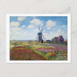 Fields of Tulip With The Rijnsburg Windmill Monet Postcard