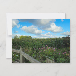 Fields postcard