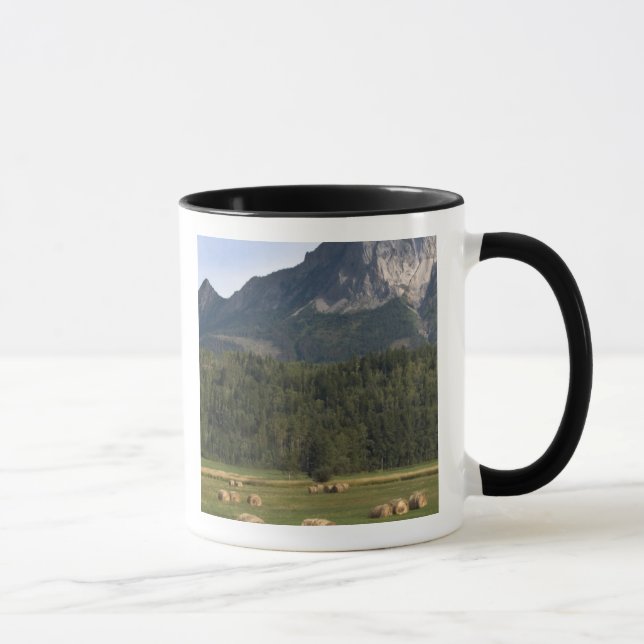 Fields with bailed hay, Alberta, Canada Mug (Right)