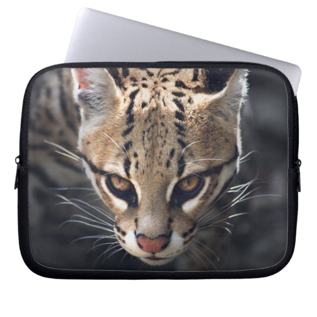 Fierce Laptop Sleeve (Front)