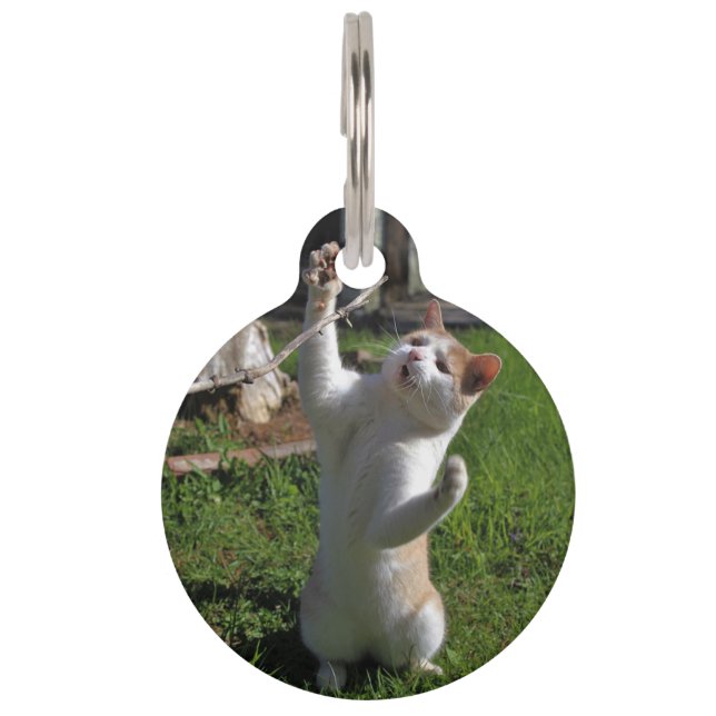 Fierce Predator Pet Tag (Front)