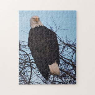 Fierce Stare of a Bald Eagle Jigsaw Puzzle