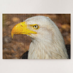 Fierce Stare of the Eagle Challenging Jigsaw Puzzle