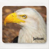 Fierce Stare of the Eagle Custom Name