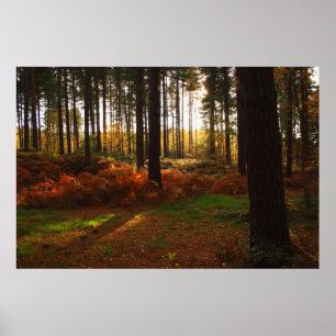 Fiery Bracken Print
