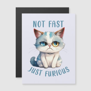 Fiery Feline Spirit – Sassy Angry Cat Design