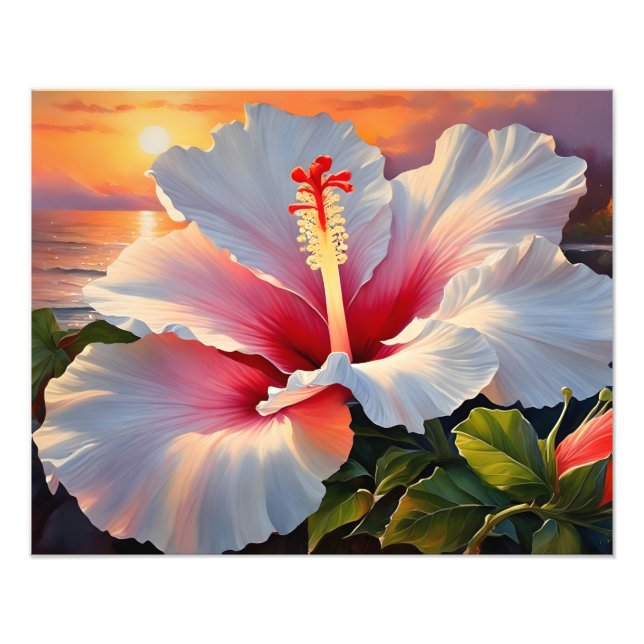  Fiery Hibiscus Bloom at Sunset Photo Print (Front)