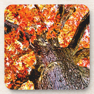 Fiery Oak Coaster
