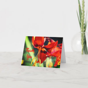 Fiery Orange Lily Flower Thank You Card