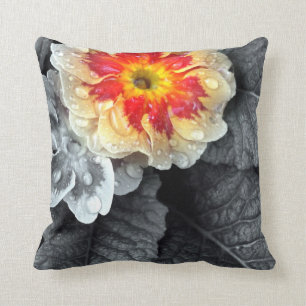 Fiery Primrose Cushion