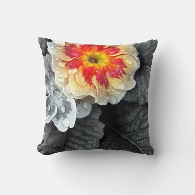 Fiery Primrose Photograph Cushion (Front)
