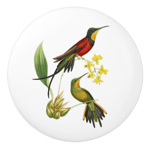Fiery Topaz Hummingbird Ceramic Knob