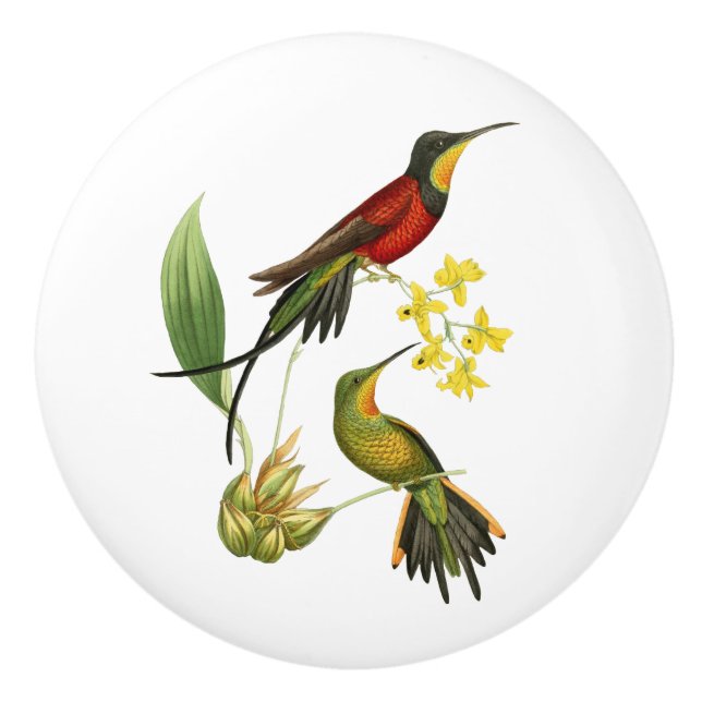 Fiery Topaz Hummingbird Ceramic Knob (Front)