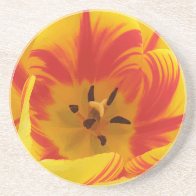 Fiery Tulip Coasters (Front)