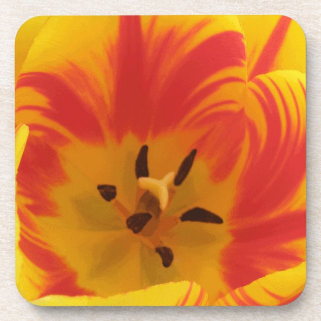 Fiery Tulip Cork Coaster (Front)