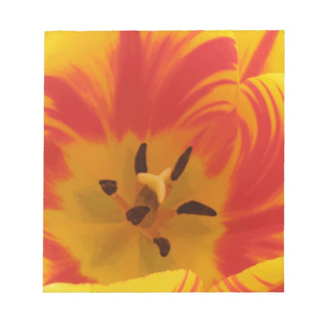 Fiery Tulip Notepad (Front)