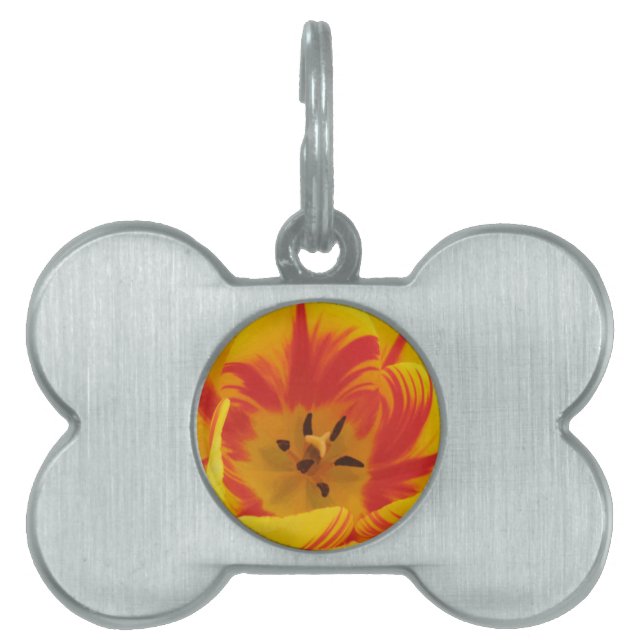 Fiery Tulip Pet Tag (Front)