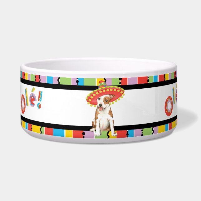 Fiesta Am Staff Pet (Left)