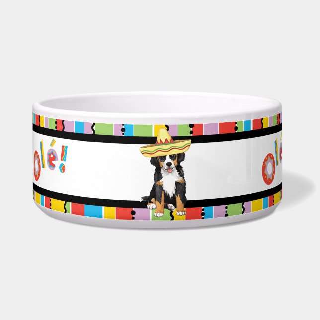 Fiesta Berner Pet (Left)