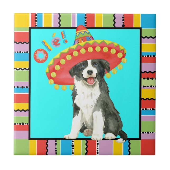 Fiesta Border Collie Ceramic Tile (Front)