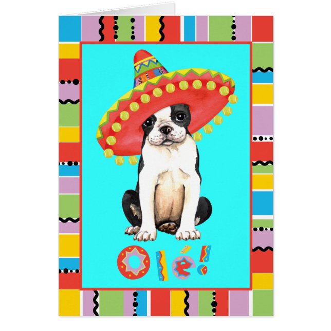 Fiesta Boston Terrier Greeting Card (Front)