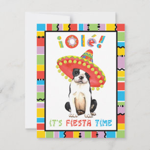 Fiesta Boston Terrier Invitation