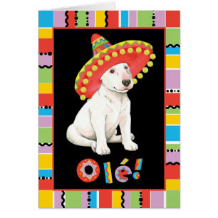 Fiesta Bull Terrier Greeting Card